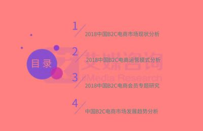 b2c电子商务研究报告