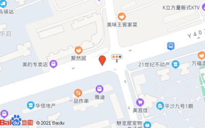 远成快运电子