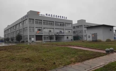 成都星微电子
