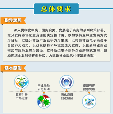 电子商务从业政策