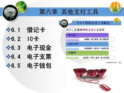网上电子支付工具ppt