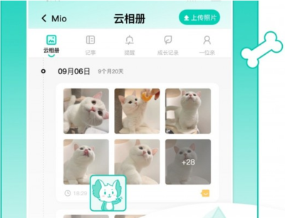 电子宠物 安卓