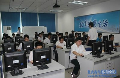 电子商务做什么工作