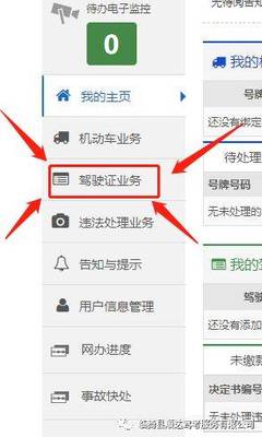 待处理电子监控