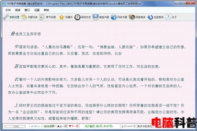 哪个电子小说