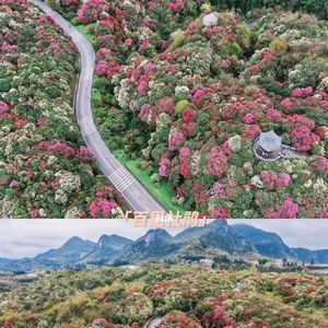毕节有什么旅游景点