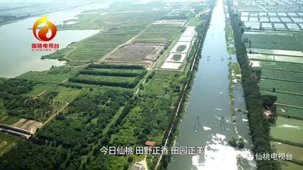 仙桃城乡渠有什么服务