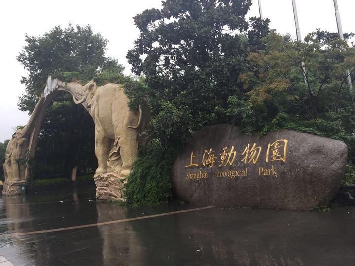 上海虹桥到上海动物园