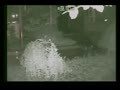 成都飞龙事件