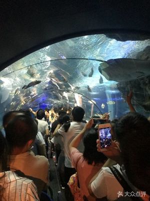 上海海洋水族馆怎么去