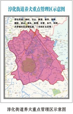 南京市江宁区淳化街道