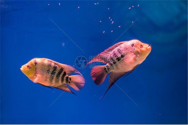 宿迁海洋馆在哪里
