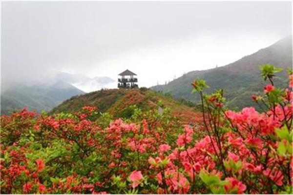 浏阳旅游景点
