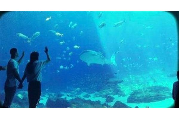 宿迁海洋馆在哪里