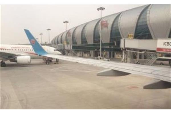 到沈阳桃仙机场