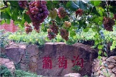 吐鲁番葡萄沟5个景点