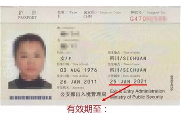 护照e和g有什么区别