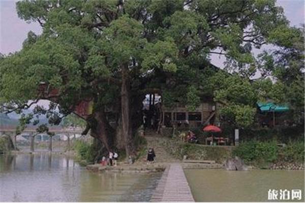 泰顺有什么好玩的