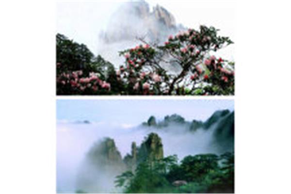 安微黄山旅游攻略