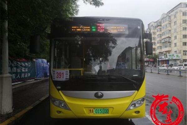 391路公交车路线