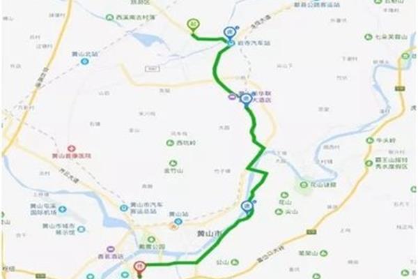 屯溪花鸟市场在哪里