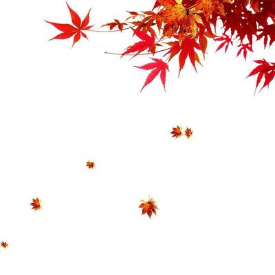 长沙湘江有多深