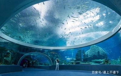 海洋馆广州