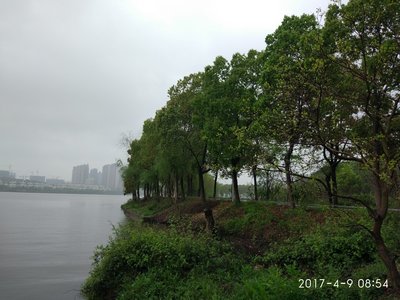 武汉江夏天气
