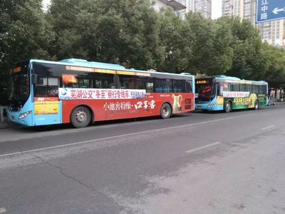 芜湖31路公交车路线