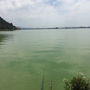滇池哪里可以钓鱼