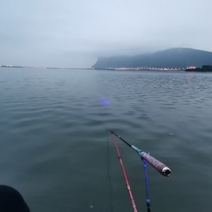 滇池哪里可以钓鱼