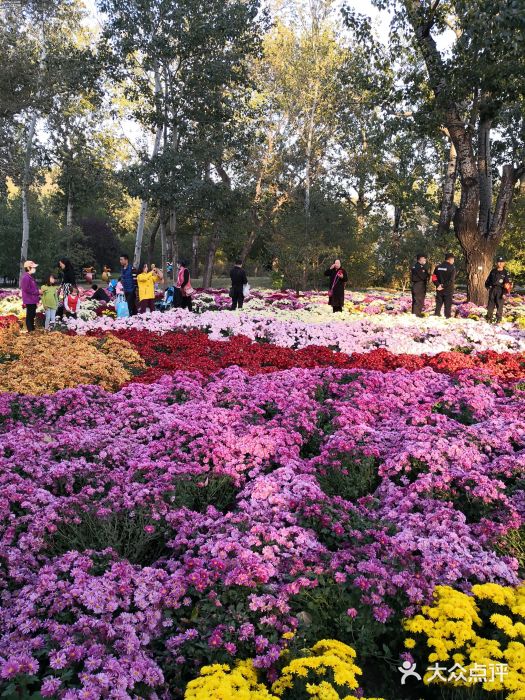 北京植物园附近景点