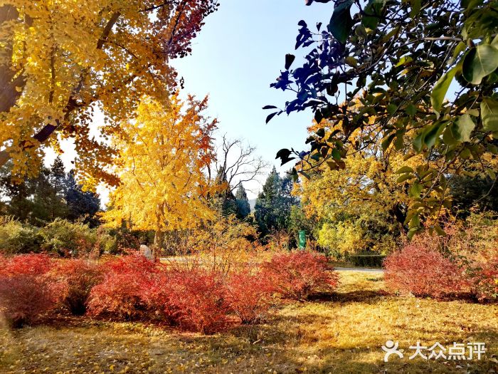 北京植物园附近景点