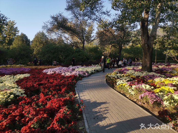 北京植物园附近景点