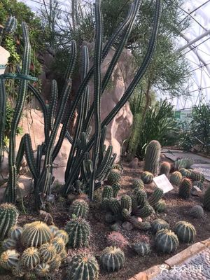 北京植物园附近景点