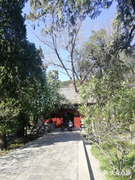 北京植物园附近景点