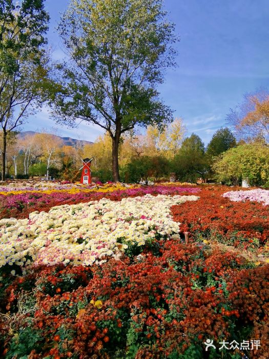 北京植物园附近景点