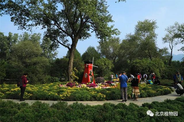 北京植物园附近景点