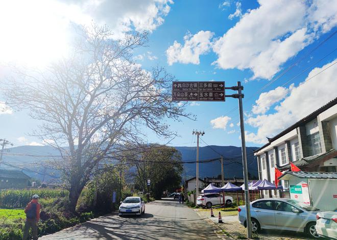 丽江17路公交车路线