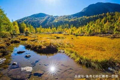 九寨沟是在哪里