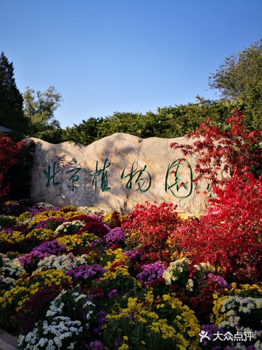 北京植物园附近景点