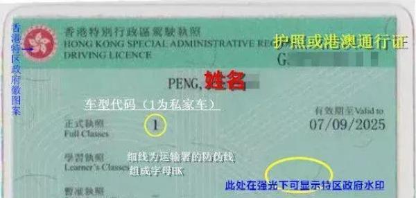 香港驾驶证怎么申请