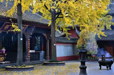 成都有什么景点