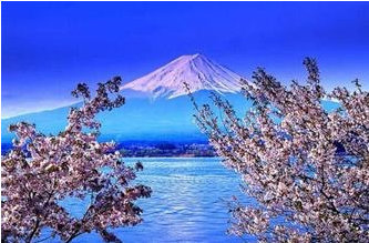 去日本旅游去哪里好
