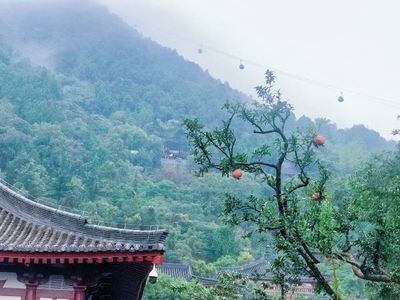 江山有什么好玩的景点