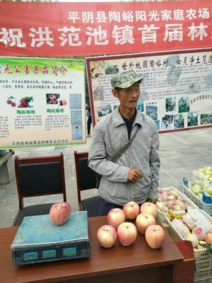 济南特产方便携带的