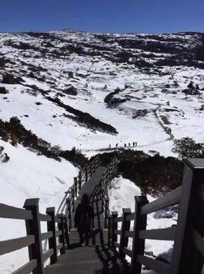 昆明到轿子雪山