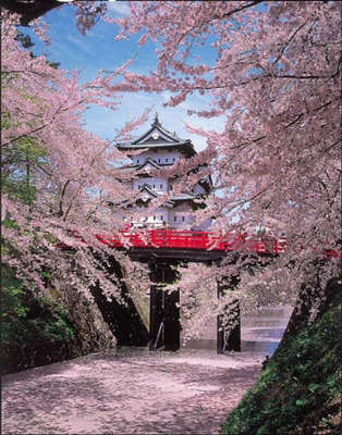 去日本旅游去哪里好