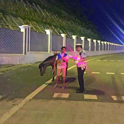 贵阳哪里可以骑马