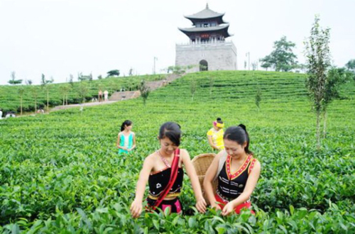 西盟县旅游景点